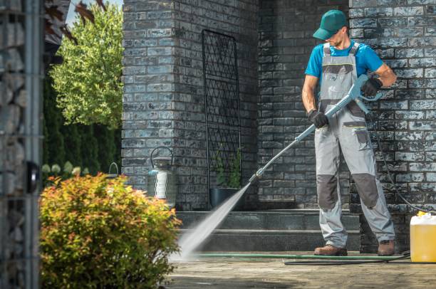 Solar Panel Cleaning